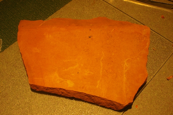 Creation of Whatchamacallitasaurus: Step 3